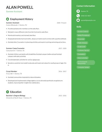 Resume example 4