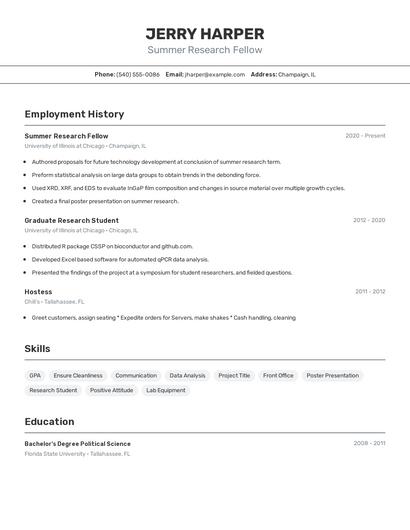 Resume example 2