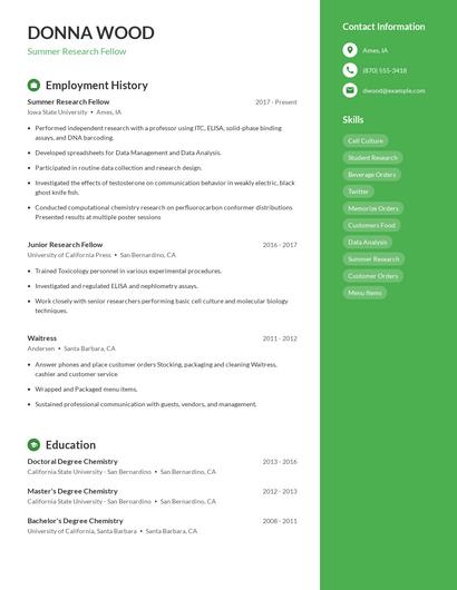 Resume example 4