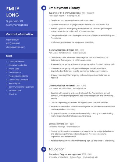 Resume example 4