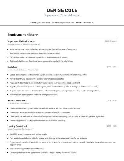 Resume example 2