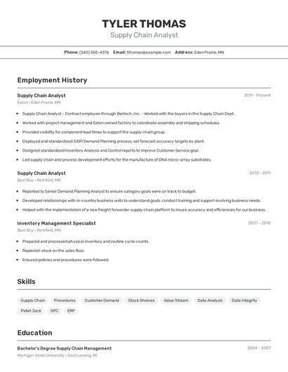 Resume example 2