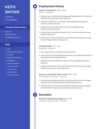 Resume example 4