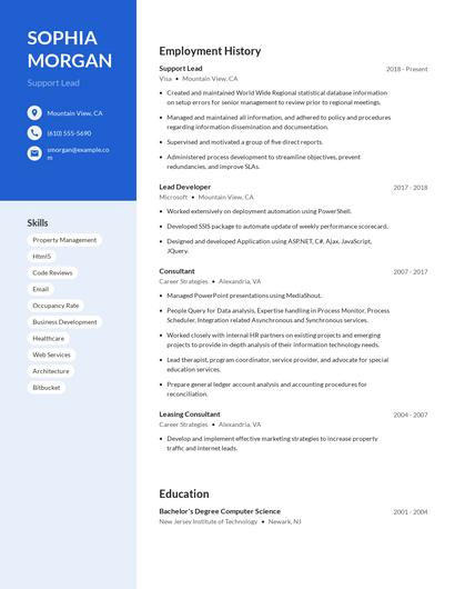Support Lead Resume