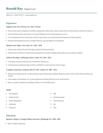 Support Lead Resume
