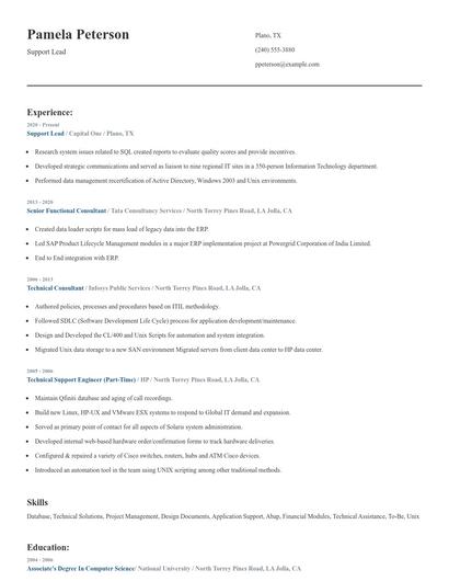 Support Lead Resume