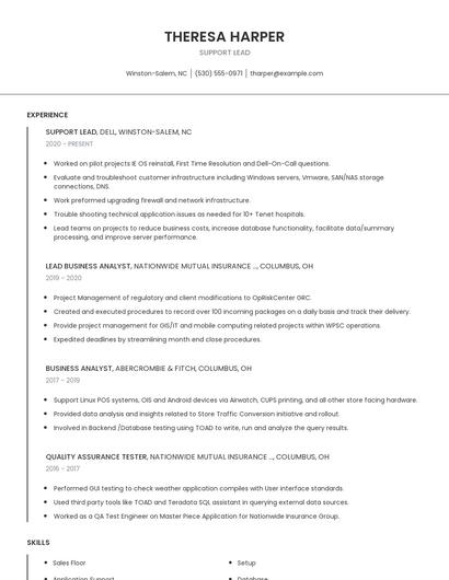 Support Lead Resume