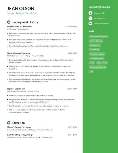 Resume example 5