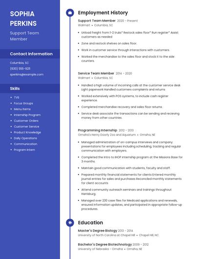 Resume example 4