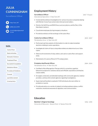 Surveillance Officer Resume