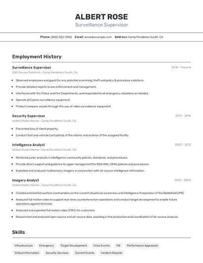 Surveillance Supervisor Resume