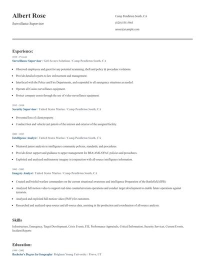 Surveillance Supervisor Resume