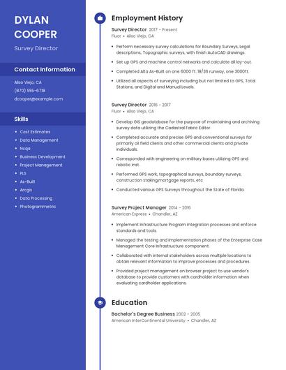 Survey Director Resume