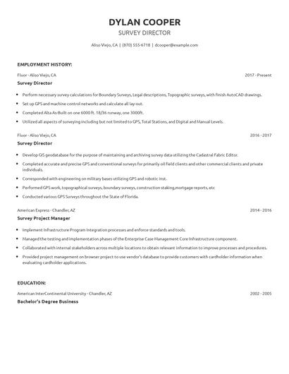Survey Director Resume