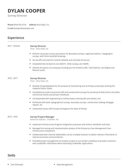 Survey Director Resume
