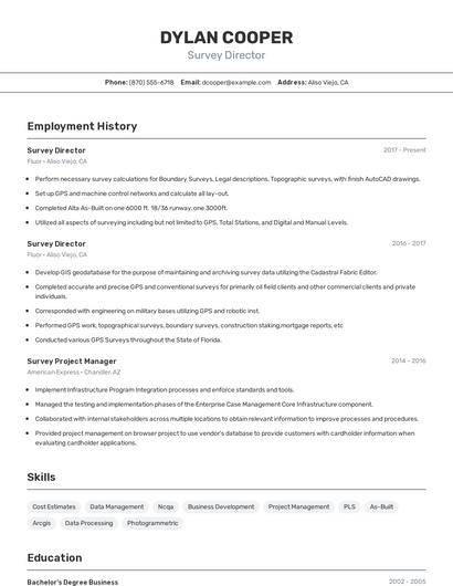 Survey Director Resume