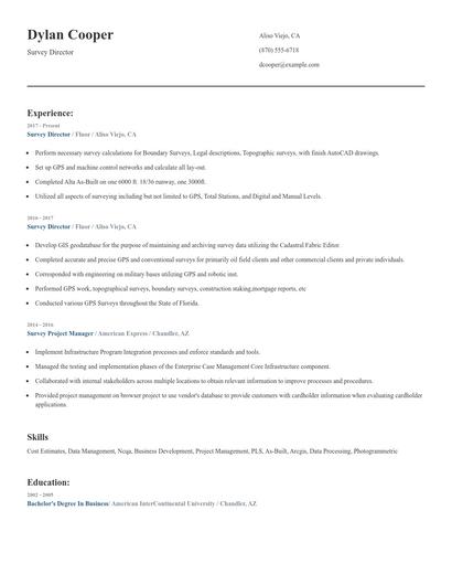 Survey Director Resume