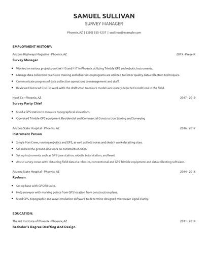Survey Manager Resume