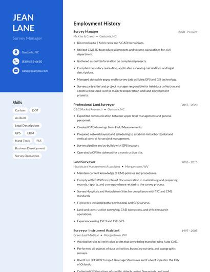 Survey Manager Resume