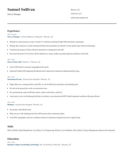 Survey Manager Resume