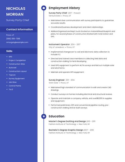 Resume example 4