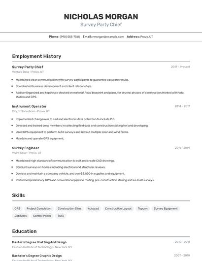 Resume example 2