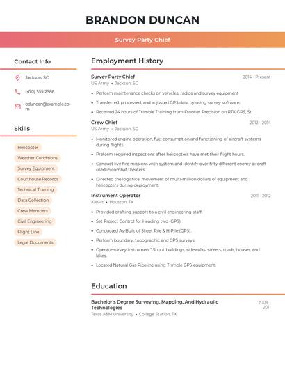 Resume example 3