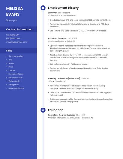 Resume example 4