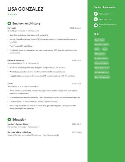 Resume example 5