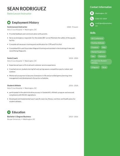 Resume example 4