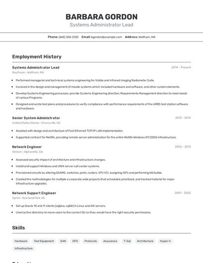 Resume example 2