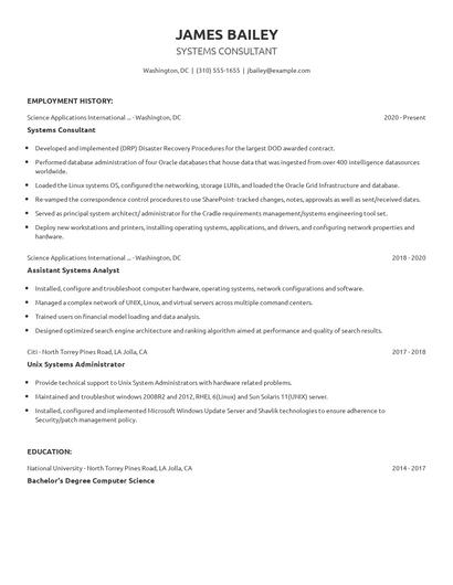 Systems Consultant Resume