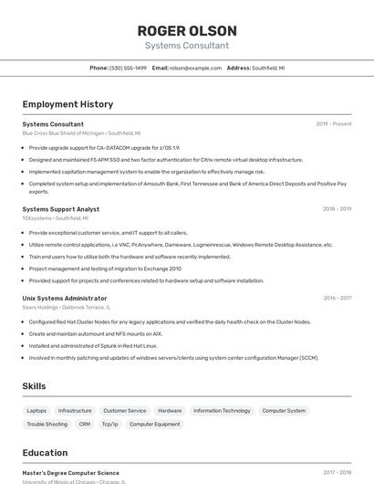 Systems Consultant Resume