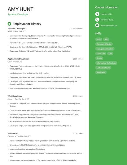 Resume example 4