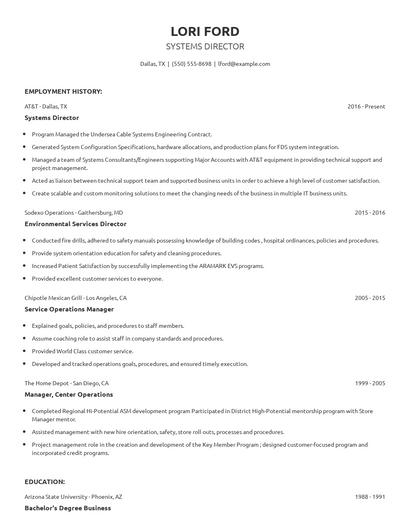 Systems Director Resume