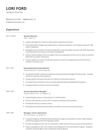 Systems Director Resume