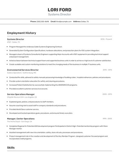 Systems Director Resume