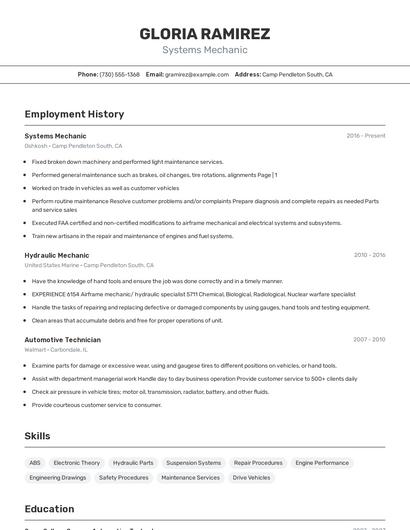 Systems Mechanic Resume