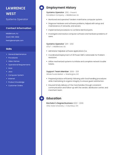 Resume example 5