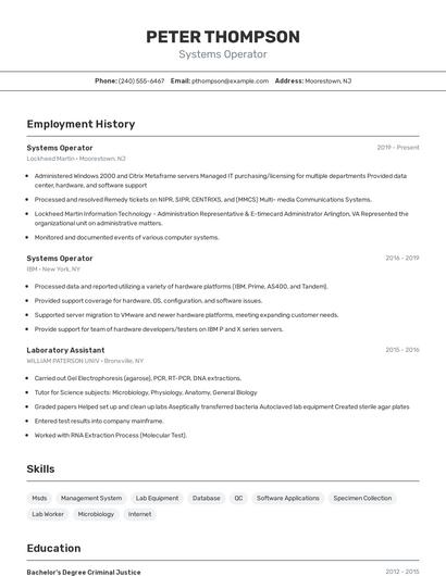 Resume example 2