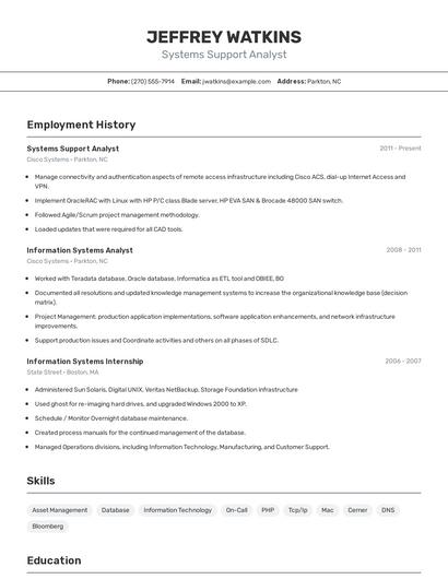 Resume example 2