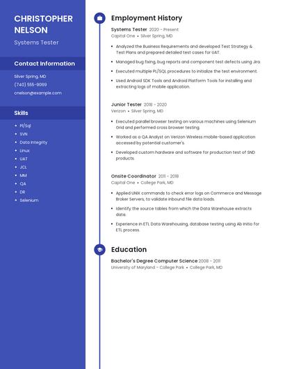 Resume example 4