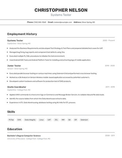 Resume example 2