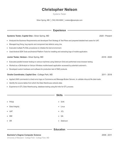 Resume example 1