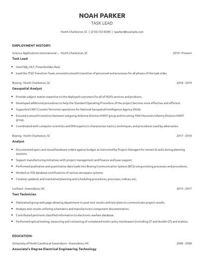 Task Lead Resume