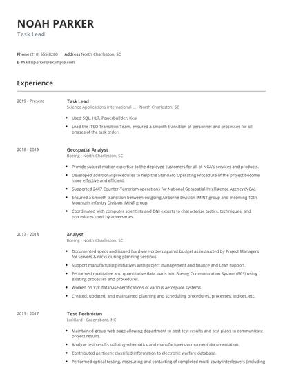 Task Lead Resume