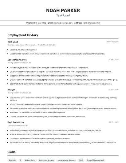 Task Lead Resume