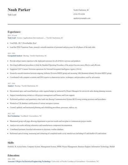 Task Lead Resume