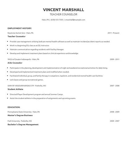 Teacher Counselor Resume