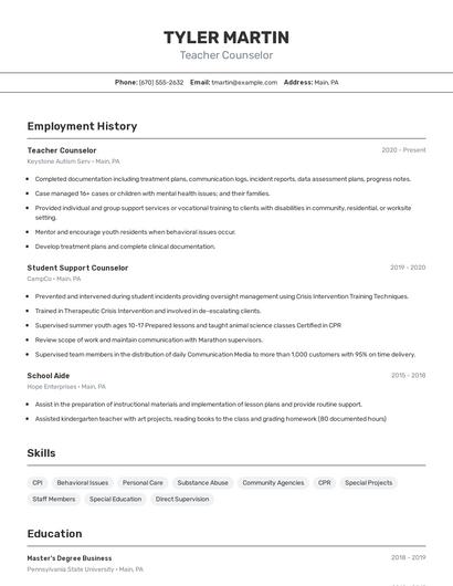 Resume example 2